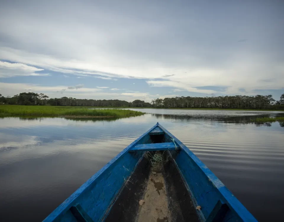 How to Use Waste from Fish Farms for Agriculture