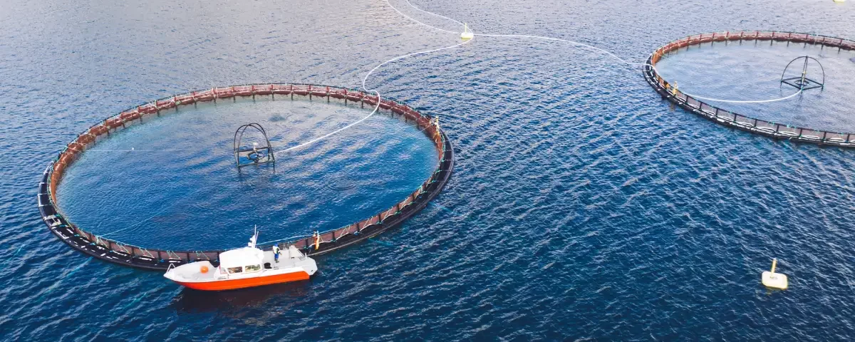 Cutting-Edge Aquaculture Technologies for Reducing Environmental Impact