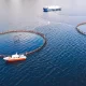 Cutting-Edge Aquaculture Technologies for Reducing Environmental Impact