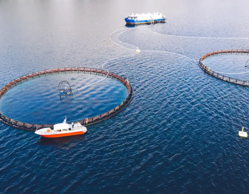 Cutting-Edge Aquaculture Technologies for Reducing Environmental Impact