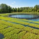 The Future of Aquaponics: Integrating Fish Farming with Plant Cultivation