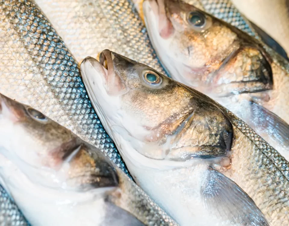 Managing Risks in Fish Farming: What Every Farmer Should Know