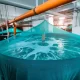 Exploring the Benefits of Recirculating Aquaculture Systems (RAS)