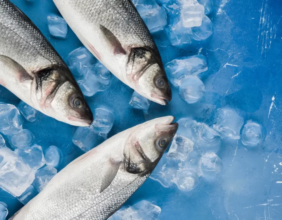 Fish Farming Techniques Traditional vs. Modern Methods